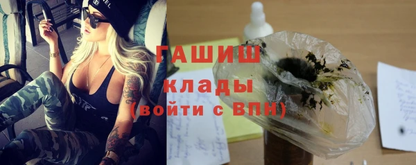 таблы Гусев