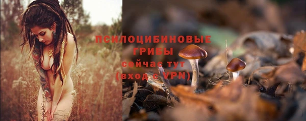 марки lsd Новозыбков