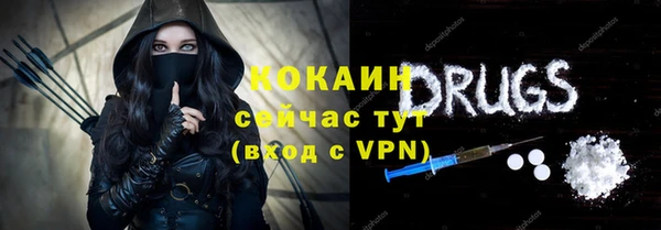 таблы Гусев