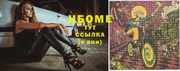 таблы Гусев