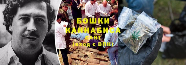 таблы Гусев