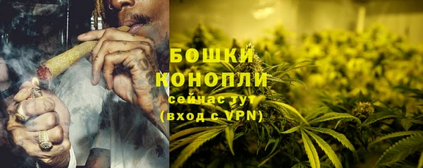 таблы Гусев