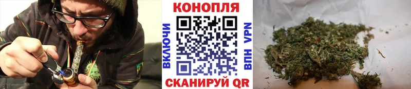 мориарти какой сайт  Печоры  Конопля сатива 
